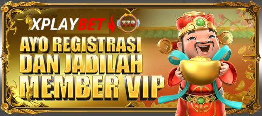 XPLAYBET338